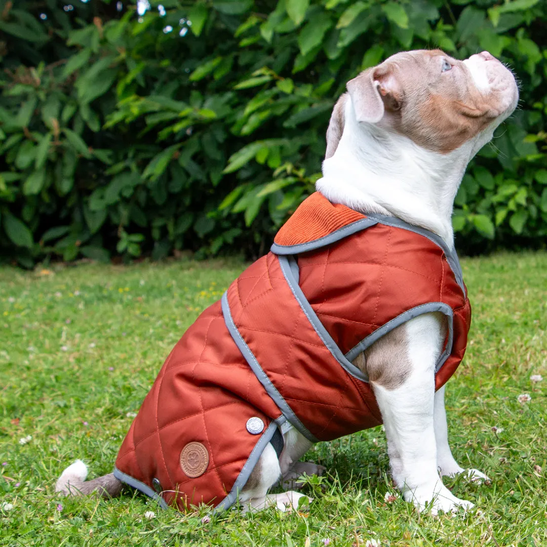 Ancol Heritage Quilt Dog Coat